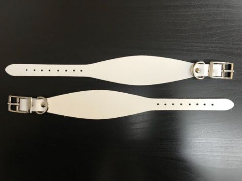 Dog Collar - Greyhound - Variety of Colours & Sizes (White, Medium)